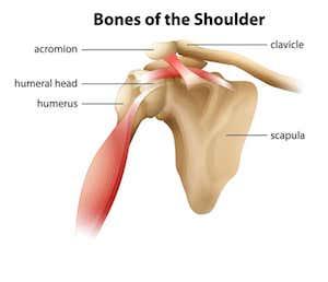 Accident Shoulder Trauma