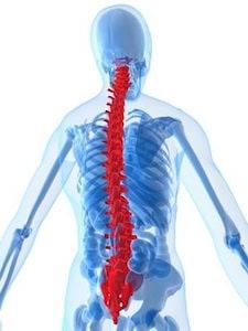 Thoric Spine Injury